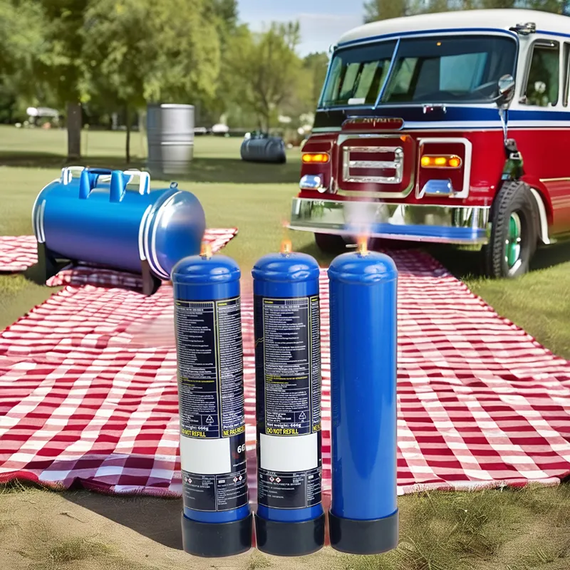 6kg Gas Cylinder - Lightweight & Affordable Fuel Solution   GasNest